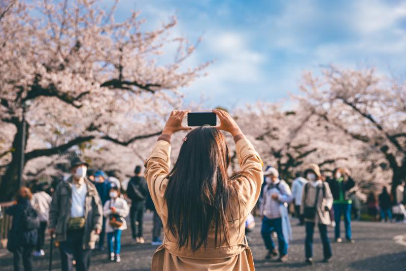 桜並木と雑踏を写真に収める女性